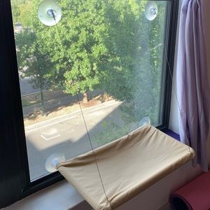 😽🗾 Kitty Cat Window Hammock with Suction Cups